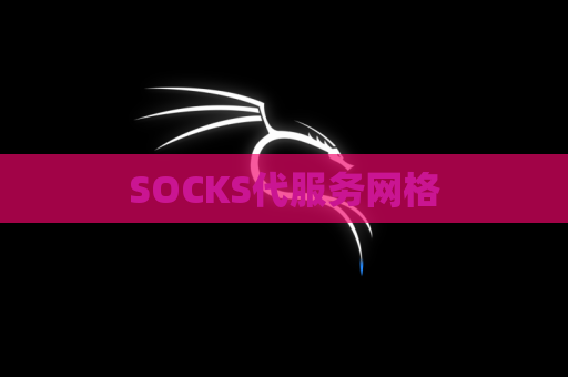 SOCKS代服务网格