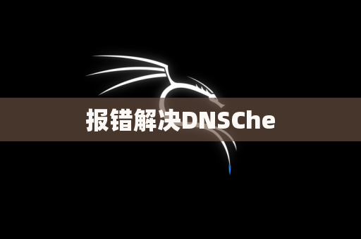 报错解决DNSChe