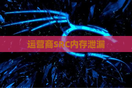 运营商SRC内存泄漏