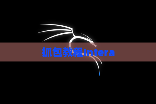 抓包教程Intera
