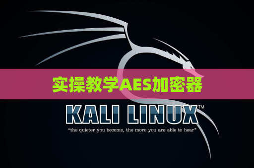 实操教学AES加密器