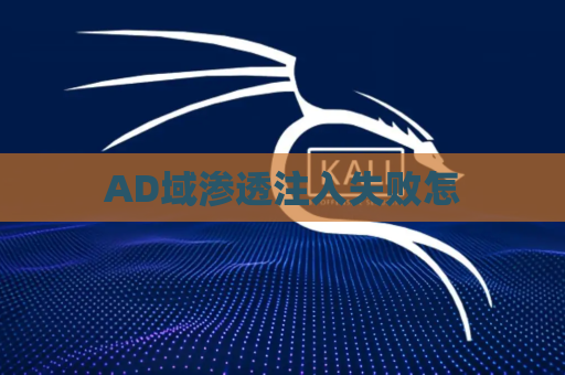 AD域渗透注入失败怎