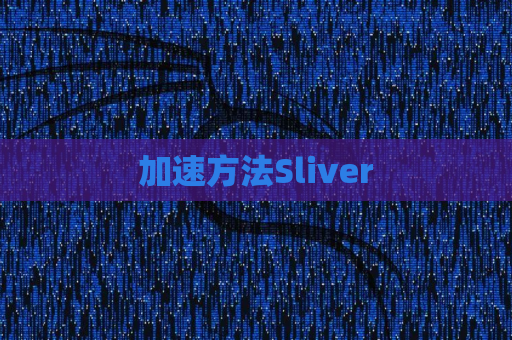 加速方法Sliver