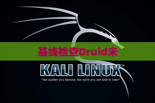 基线检查Druid未
