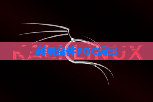 利用条件POC编写