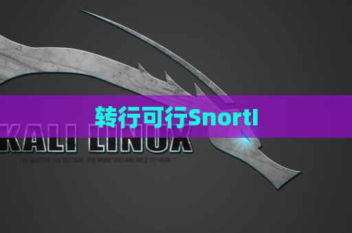 转行可行SnortI