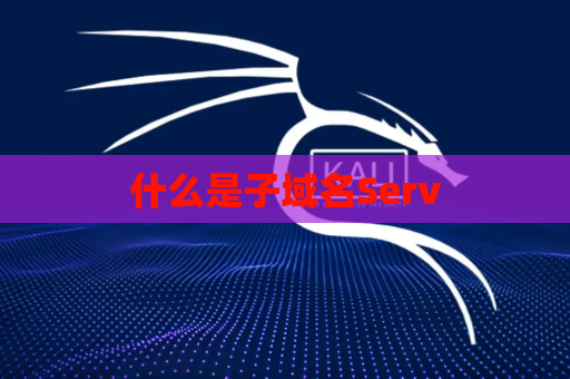 什么是子域名Serv