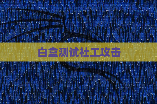 白盒测试社工攻击