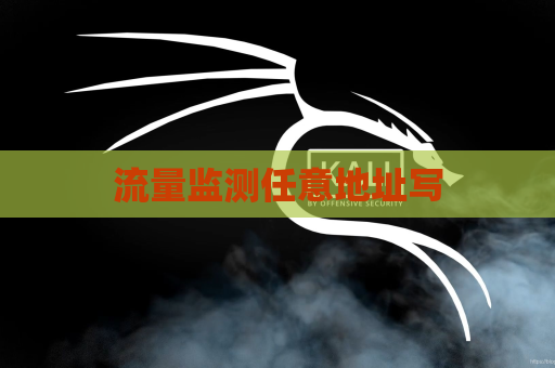 流量监测任意地址写