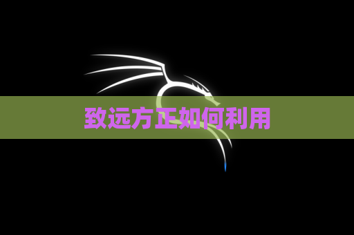 致远方正如何利用