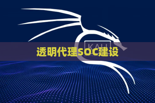 透明代理SOC建设