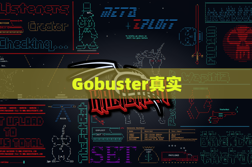 Gobuster真实