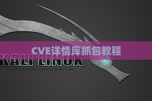 CVE详情库抓包教程
