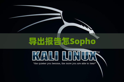 导出报告怎Sopho