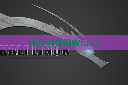 激活码在哪Wfuzz