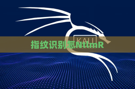指纹识别怎NtlmR