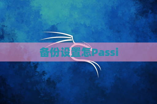 备份设置怎Passi