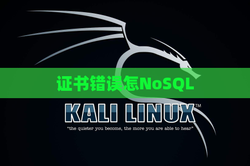 证书错误怎NoSQL