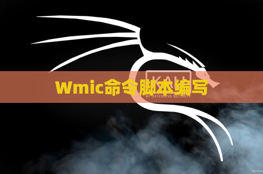 Wmic命令脚本编写