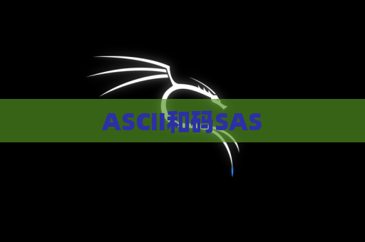 ASCII和码SAS