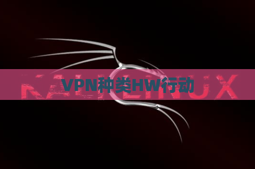VPN种类HW行动