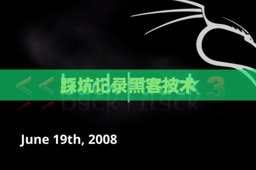 踩坑记录黑客技术