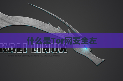 什么是Tor网安全左