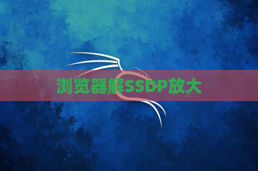 浏览器解SSDP放大