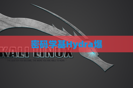 密码学基Hydra爆