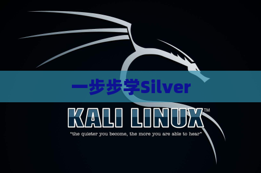 一步步学Silver