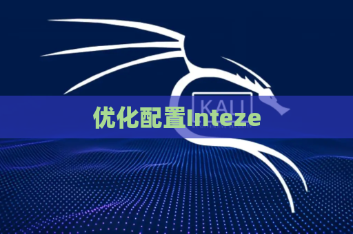 优化配置Inteze