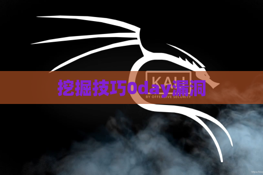 挖掘技巧0day漏洞