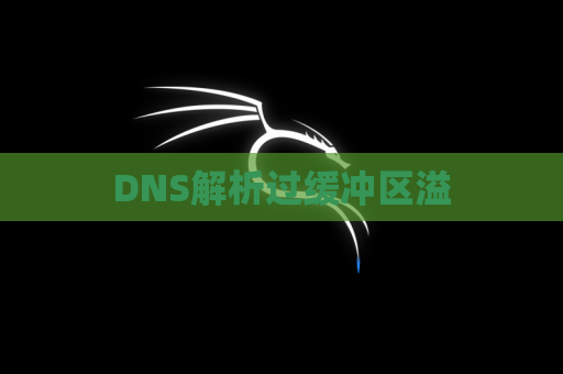 DNS解析过缓冲区溢