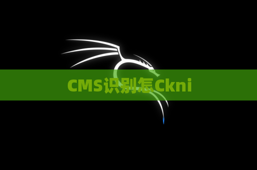 CMS识别怎Ckni