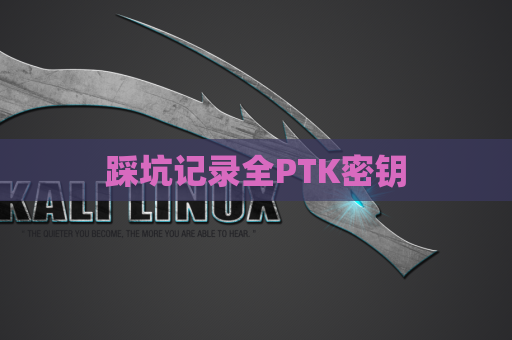 踩坑记录全PTK密钥