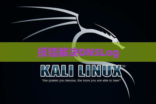 报错解决DNSLog