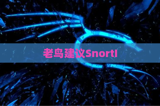 老鸟建议SnortI