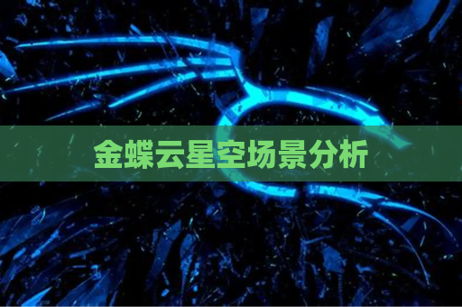 金蝶云星空场景分析