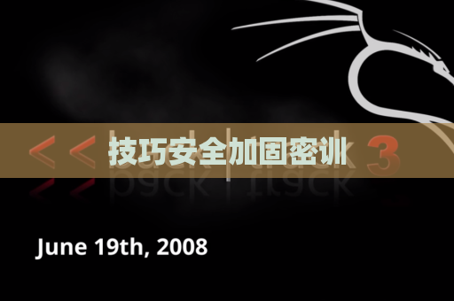 技巧安全加固密训