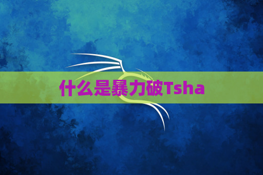 什么是暴力破Tsha