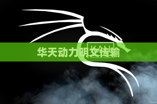 华天动力明文传输