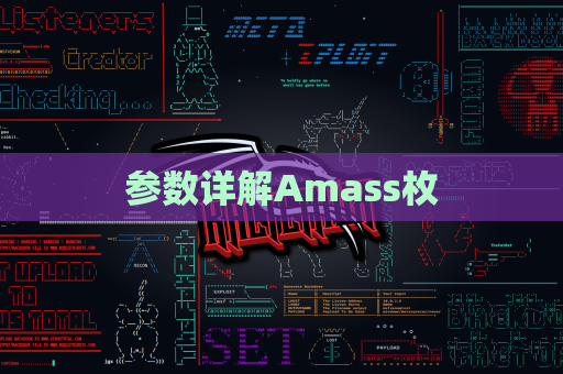 参数详解Amass枚