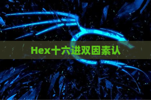 Hex十六进双因素认