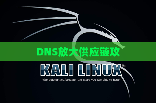 DNS放大供应链攻