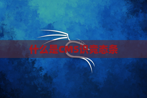 什么是CMS识竞态条