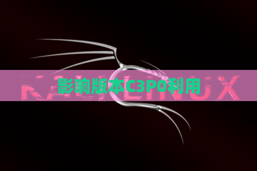 影响版本C3P0利用