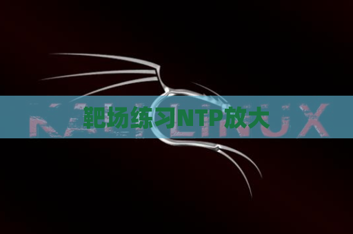 靶场练习NTP放大
