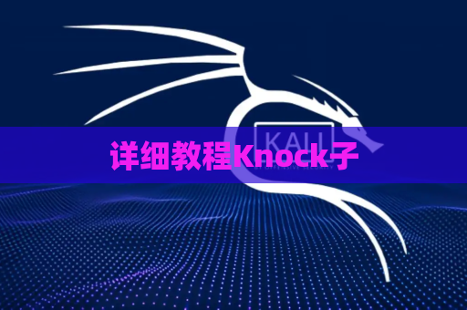 详细教程Knock子