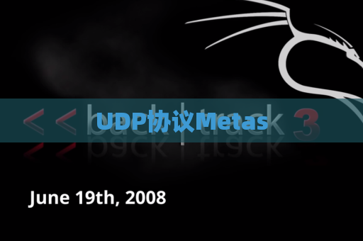 UDP协议Metas