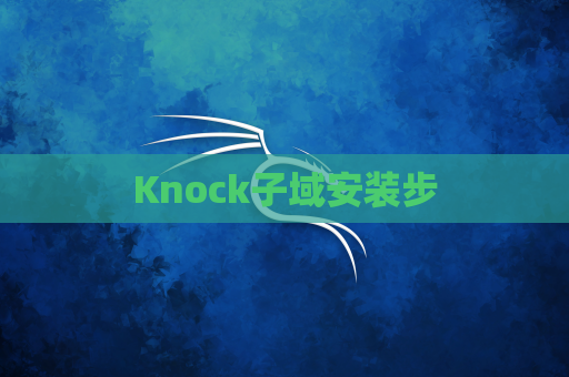 Knock子域安装步